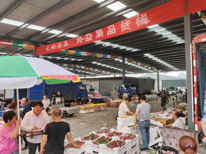 路南區(qū)再添購物新體驗(yàn)——假期水果零售好去處推薦