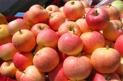 果多美加盟是否靠譜？剖析新鮮水果零售的機遇與挑戰