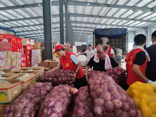 魯豫同心，蔬果傳情 聊城25噸新鮮蔬果馳援河南