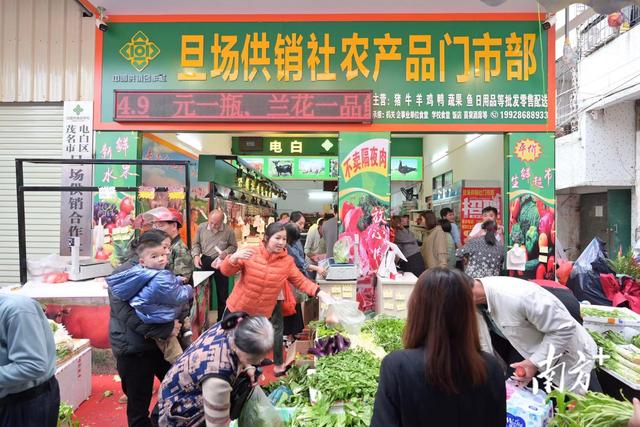 平價新鮮，從田間到餐桌——茂名電白供銷系統打造不隔夜生鮮超市